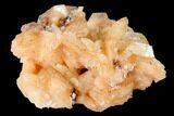 Peach Stilbite Crystal Cluster on Quartz - India #153188-1